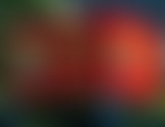 A “Gentler Drug War”