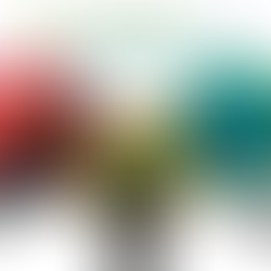 Transdisciplinarity to Address Inequality in Psychedelic Studies