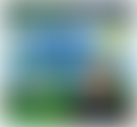 Legal Marijuana – Now and Then