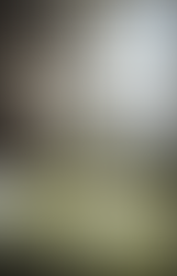 Fiction Points: Emily Arnason Casey