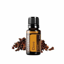 clove.jpg