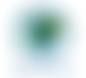 Crave Lazy Sundays...and Turtles❣️