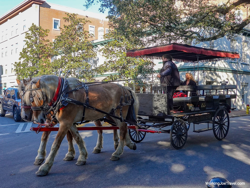 Horse Drawn Carriage Ride in Savannah Georgia