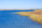 Estuary on Martha's Vineyard | Best Time to Visit Martha's Vineyard | New England Travel