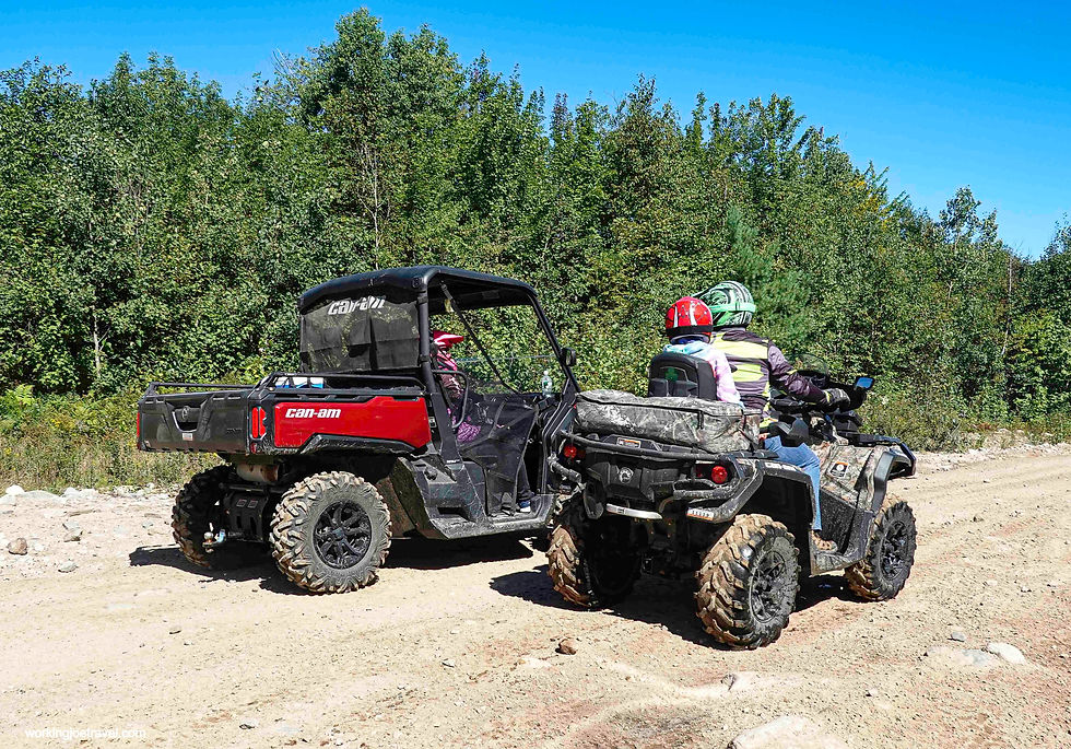 Conferring on the Trail | Jericho Mountain ATV Trails | Jericho Mountain State Park
