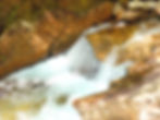 Stream | White Mountain National Park | Franconia Notch Recreation Path, New Hampshire