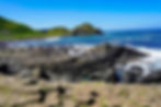 The Giant's Causeway Day Trip | UNESCO World Heritage Site