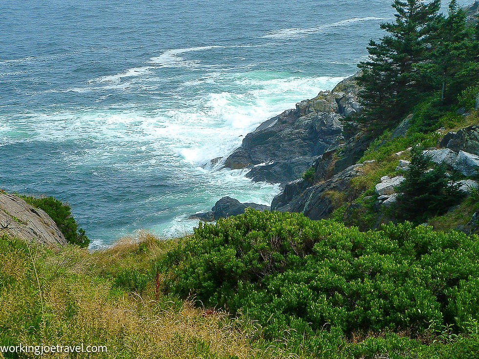 Hedges on the Cliffs and Hiking Trails | Things to do on Monhegan Island Maine