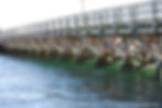 Jaws Bridge on Marthas Vineyard in Cape Cod Massachusetts