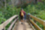 Stream Crossing on the Alum Caves Trail | Great Smoky Mountains National Park Itinerary