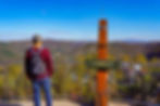 Northeast Views of the Great Smoky Mountains at Anakeesta in Gatlinburg TN
