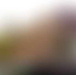 Amsterdam Canal Houses and Houseboats