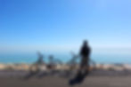 Bike Trails of Cape Cod, Massachusetts