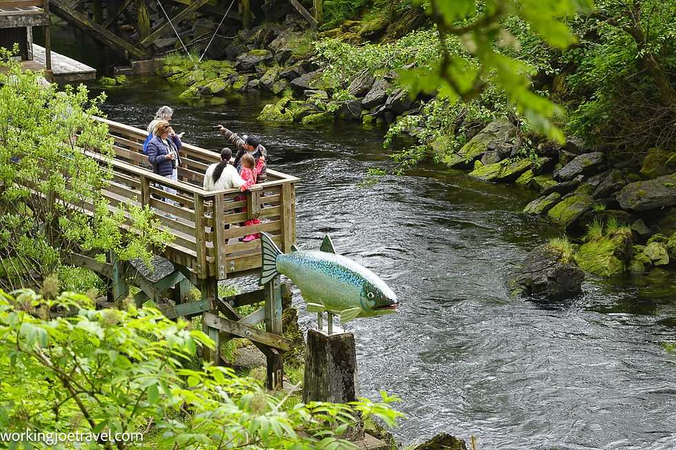 Overlook by Yeltatzie Salmon on Ketchikan Creek in Ketchikan Alaska