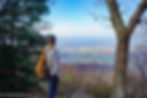 Shenandoah Valley from Millers Head Trail in the Blue Ridge Mountains