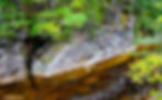 Rocky Gorge on the Kancamagus Highway, North Conway NH