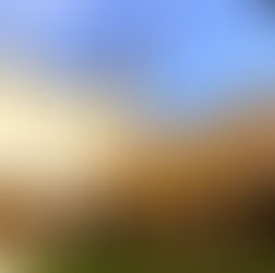 The Cloisters at Museum San Marco Florence in Tuscany, Italy