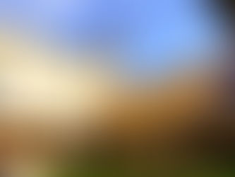 The Cloisters at Museum San Marco Florence in Tuscany, Italy