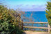 Scenic View on Martha's Vineyard