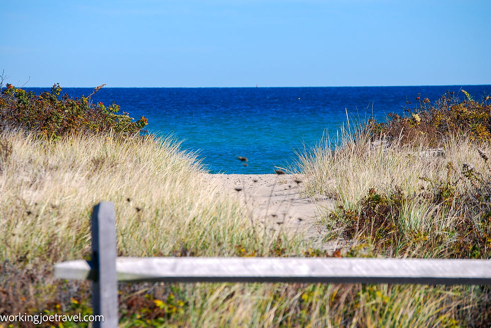 Hiking Along the Shore | Things to do in Martha's Vineyard