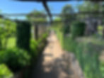 Pergolas and Gravel Paths | Things to do in Ravello | Amalfi Coast Italy
