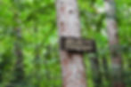Echo Lake Trail | Things to do in North Conway NH