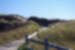 Boardwalk to the Beach | Best Things to do in Martha's Vineyard | New England Travel Blog
