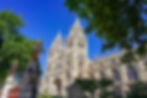 Natural History Museum | Things to do in Kensington London
