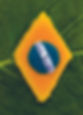 contracaparudá.jpg