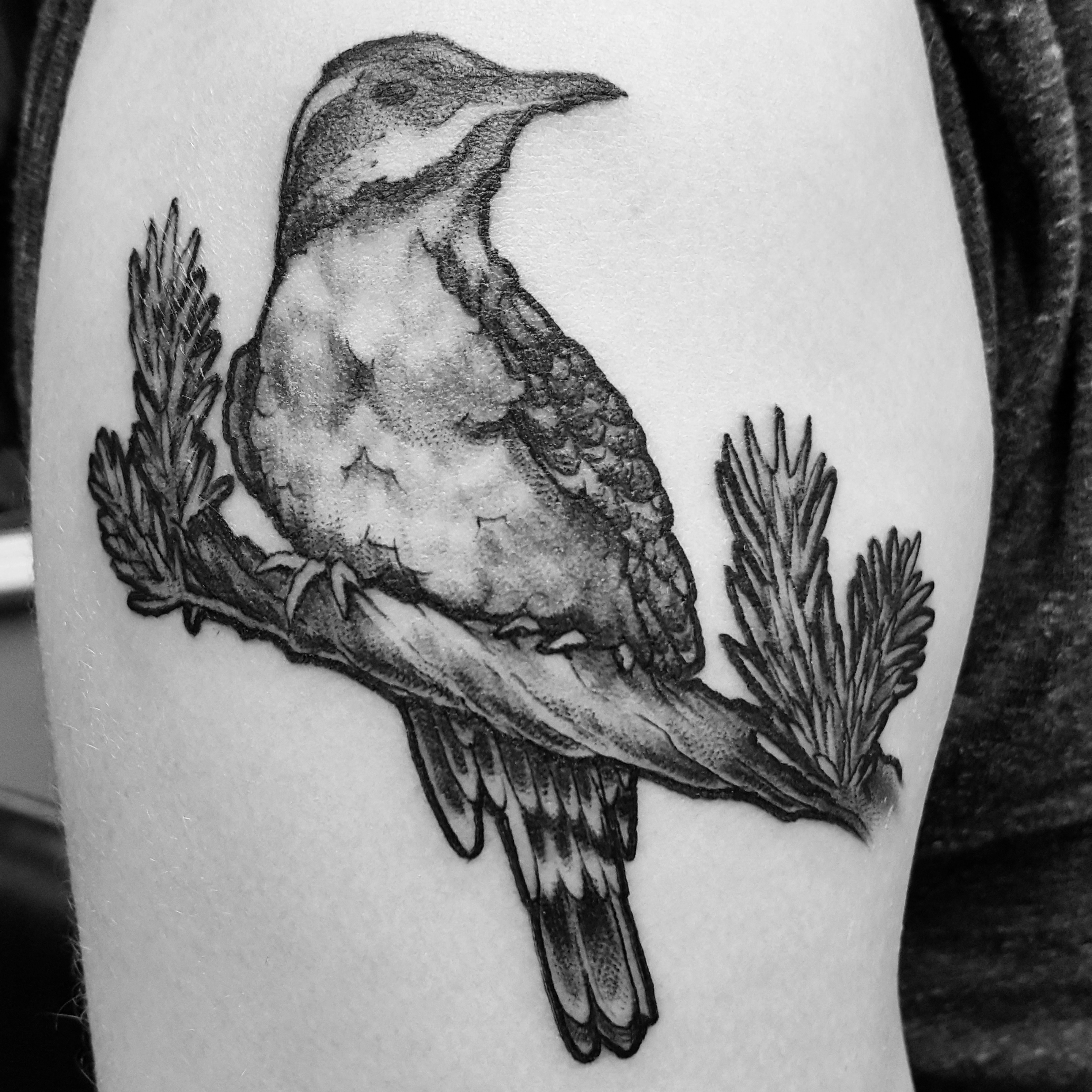 Black Ink Bird
