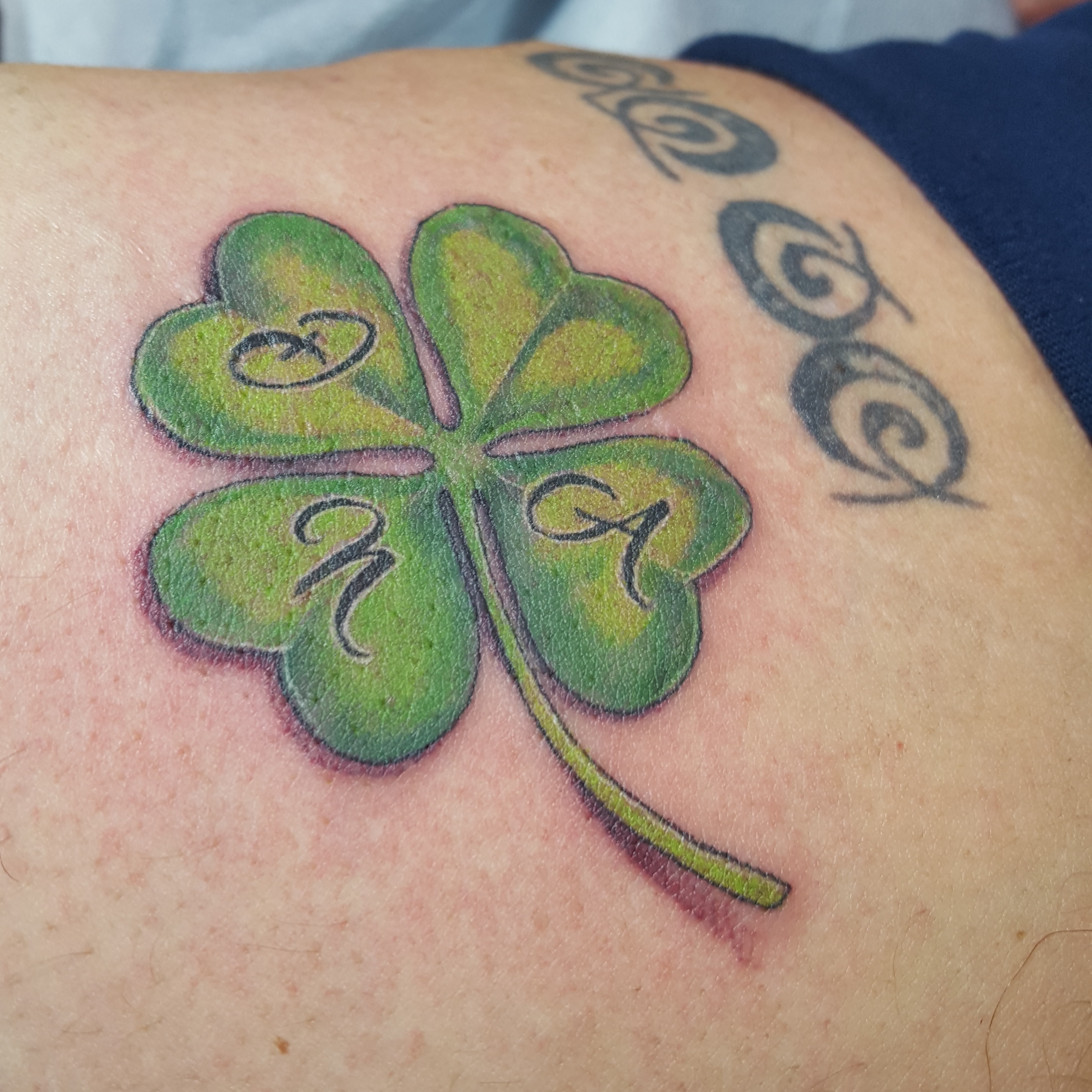 shamrock