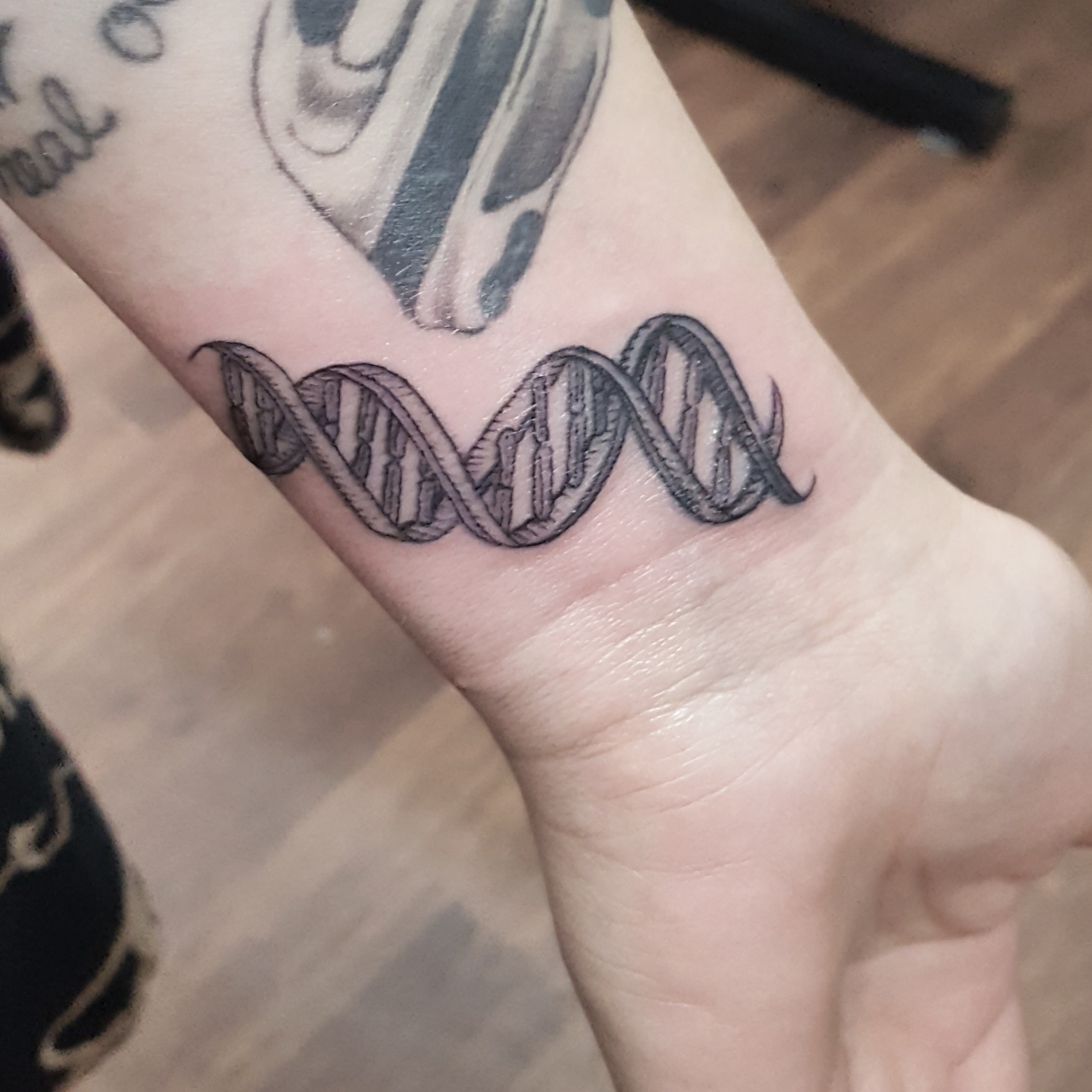 double helix