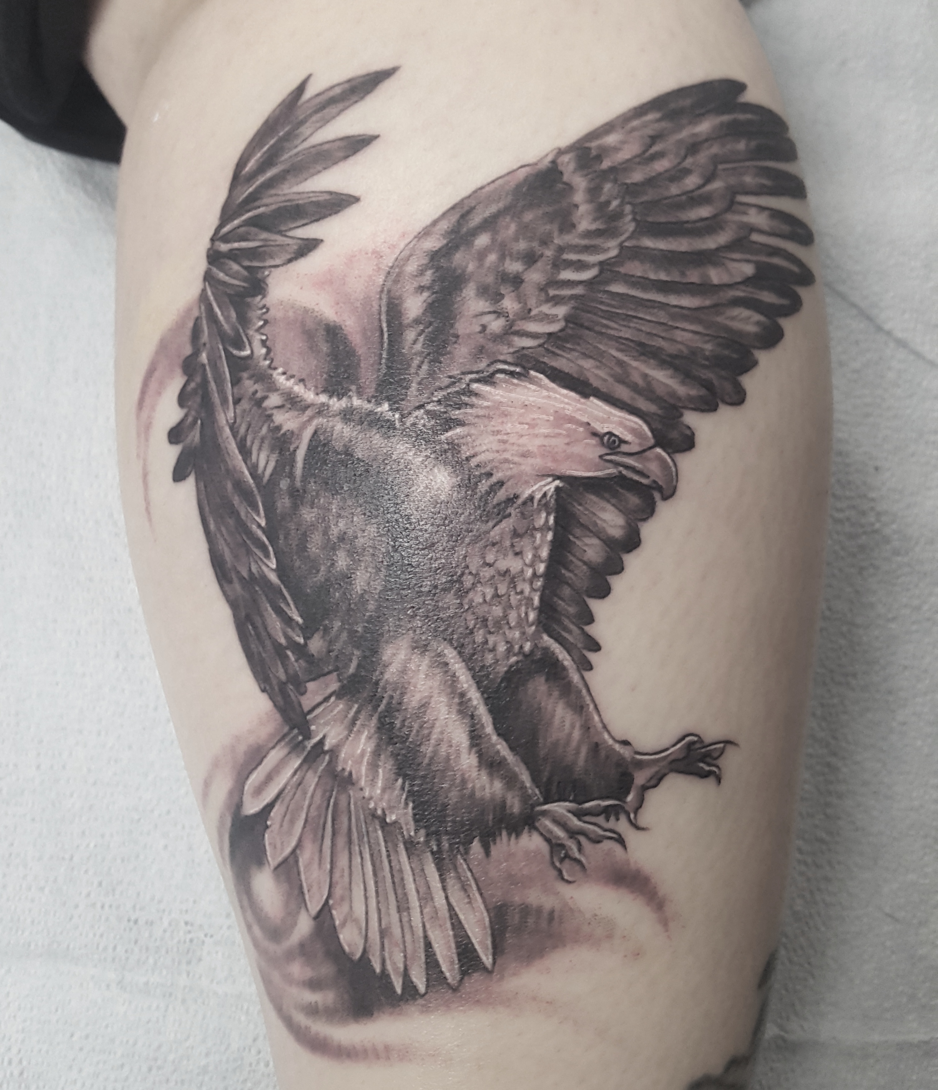 Eagle Memorial