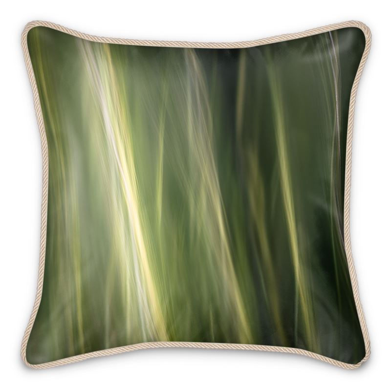 Thumbnail: Silk Cushions
