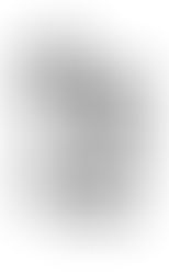 Karate Essence - Shoshin