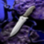 Thumbnail: Equatorian Chili