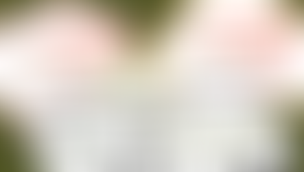 芳川商品券、販売