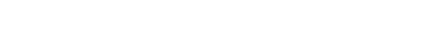 ProAction Group logo