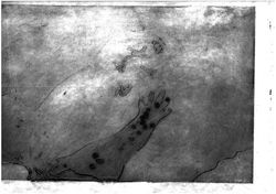 PREGNANT WATER1