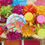 Miniaturbild: Bunte Blüten - Groß