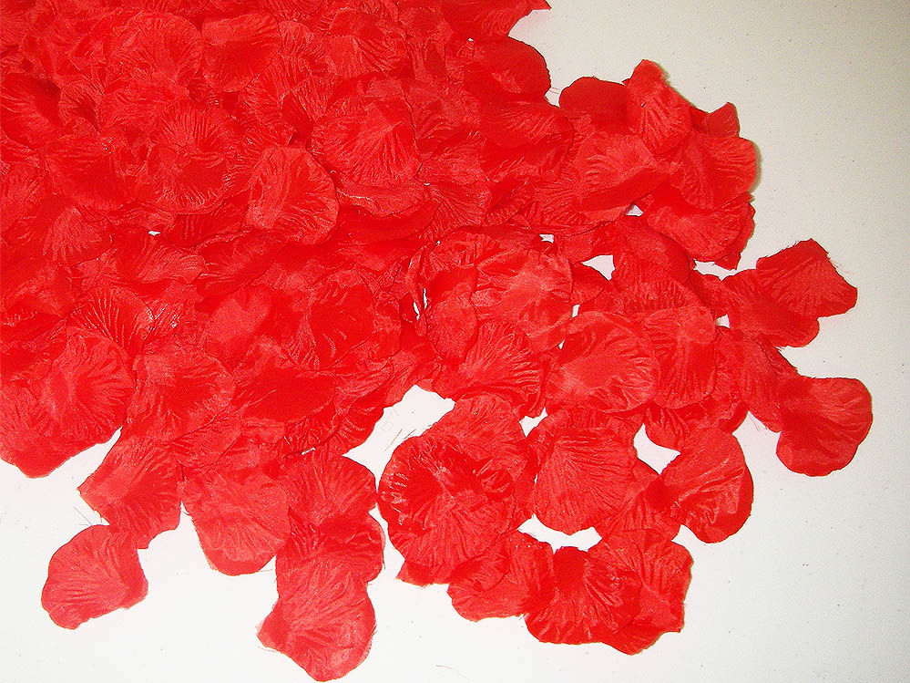 100 - Rosenblütenblätter