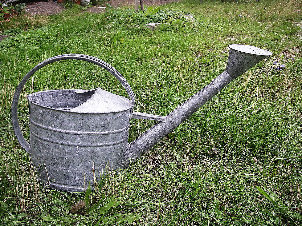 Miniaturbild: Antike Zinkgiesskannen mit Brausekopf