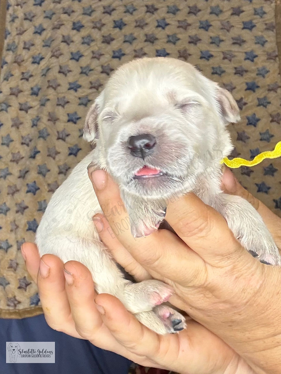 2025-11-20 14.49.23-1