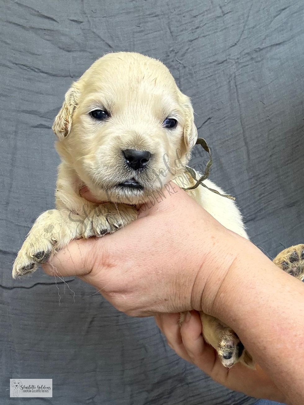 2026-03-08 12.51.38-1