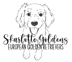 Logo, Skarlotte Goldens Illustrated Logomark