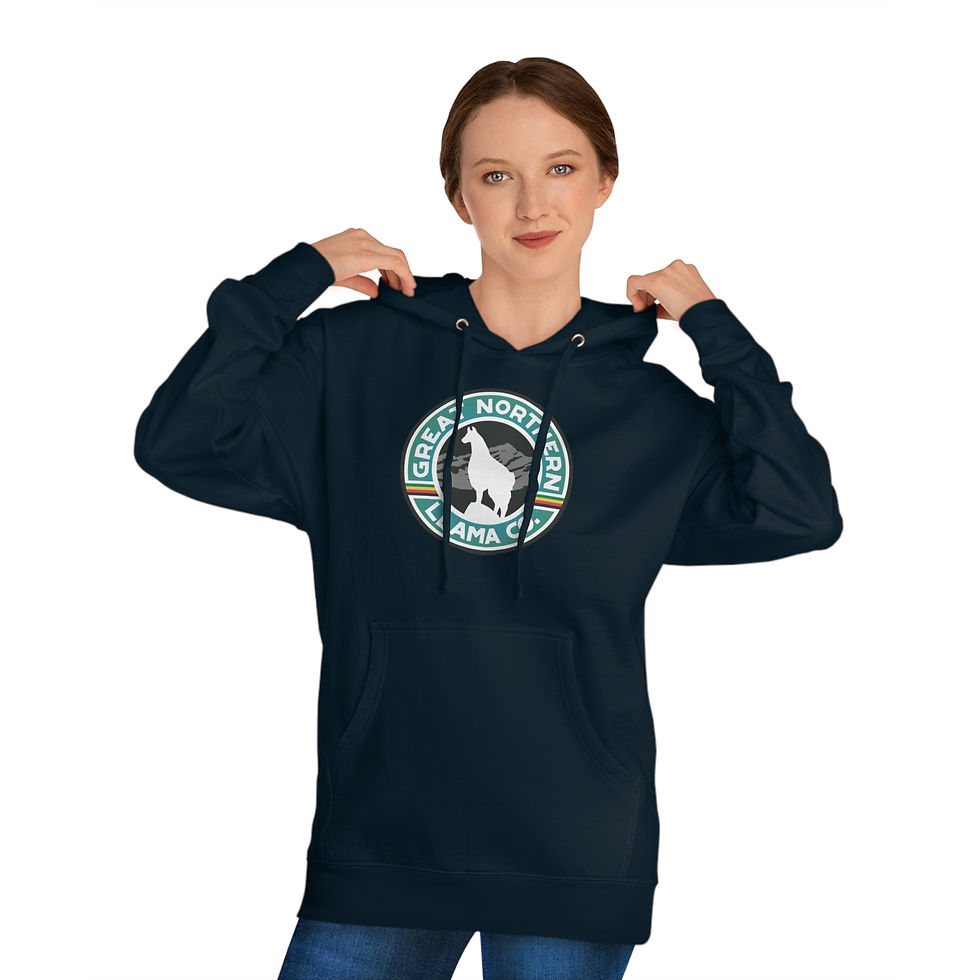 Thumbnail: Llama Hoodie 