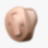 Oticon Custom.jpg