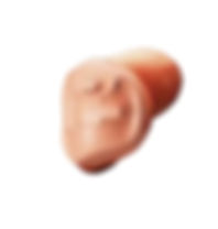 Phonak Custom_edited_edited.jpg