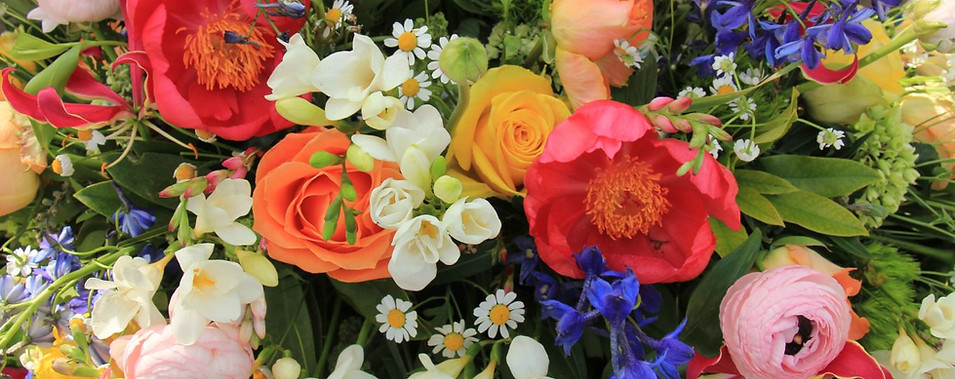 大河原美紀子オフィシャルホームぺーじへようこそ