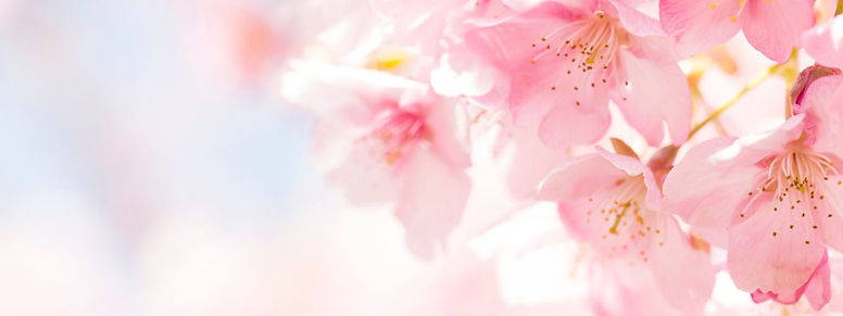 歌とピアノの 音楽教室 ♪こん・ぶりお♪